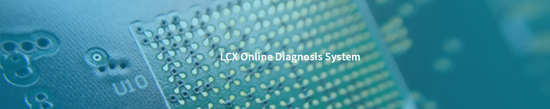 Technology—LCX online diagnosis system